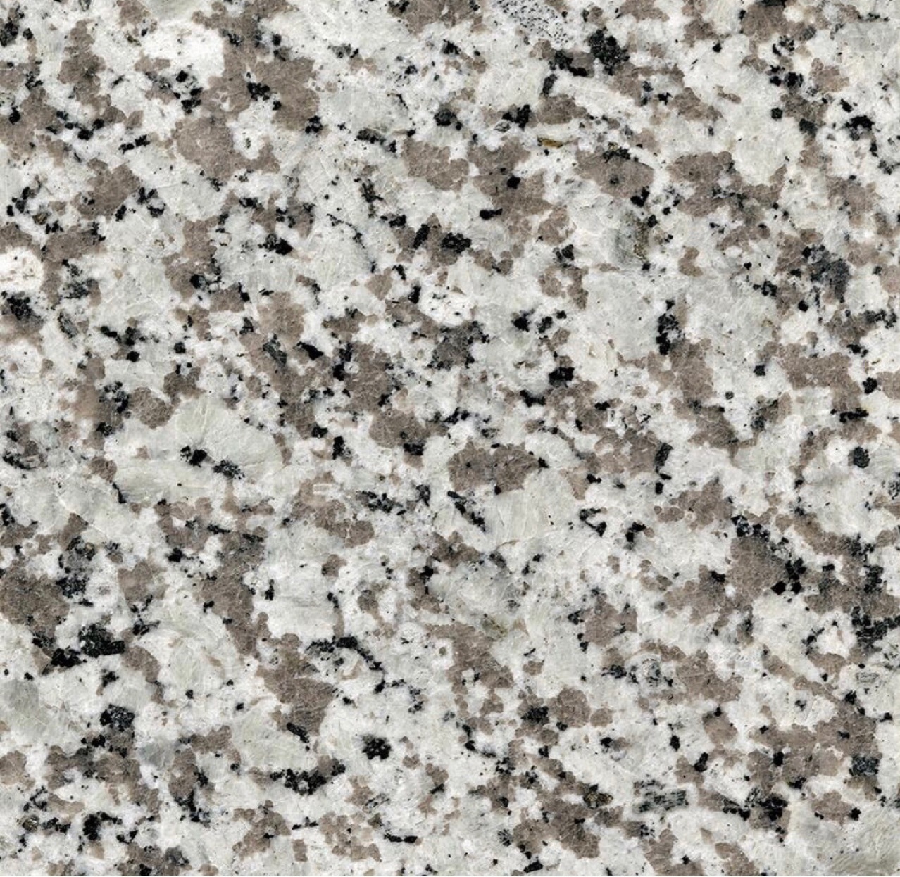 西丽红大白花芭拉白花岗岩barbara