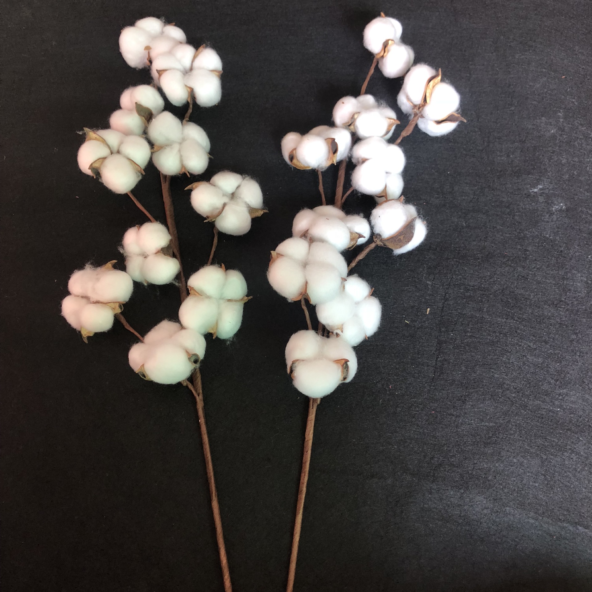 仿真10头天然棉花干花花束 家居装饰婚庆手捧花植物墙假花 棉花枝