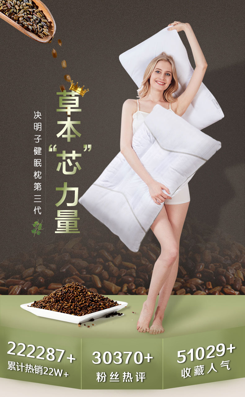 决明子枕头儿童学生宿舍一对装枕芯单人双人颈椎护颈枕荞麦