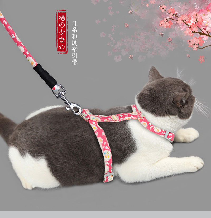 宠物用品亚马逊新款猫咪牵引绳 遛猫绳可调节背心式猫牵引绳现货