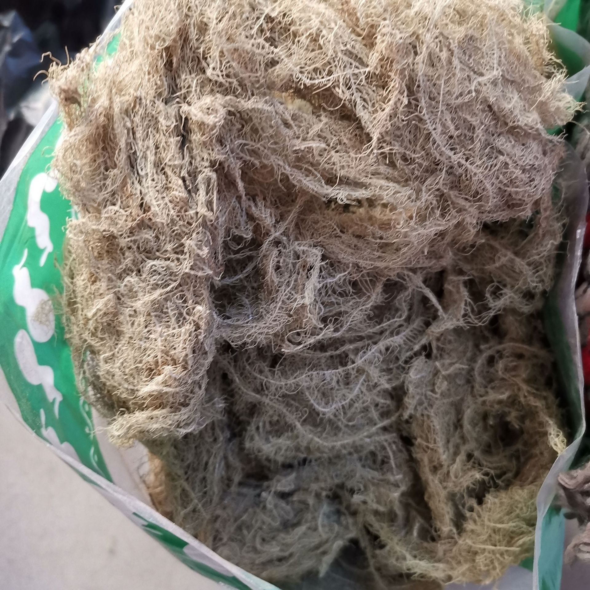 中药材 云雾草 长松萝 天蓬草 松萝 老君须