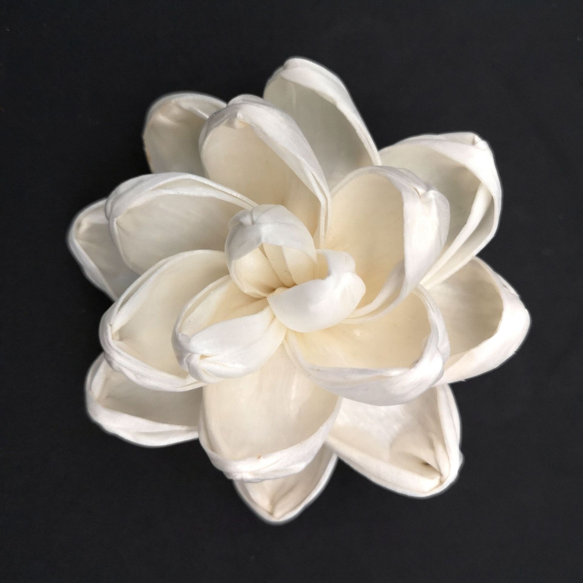 0成交310个现货|纯手工制作大朵通草花植物天然香薰花中式花艺插花