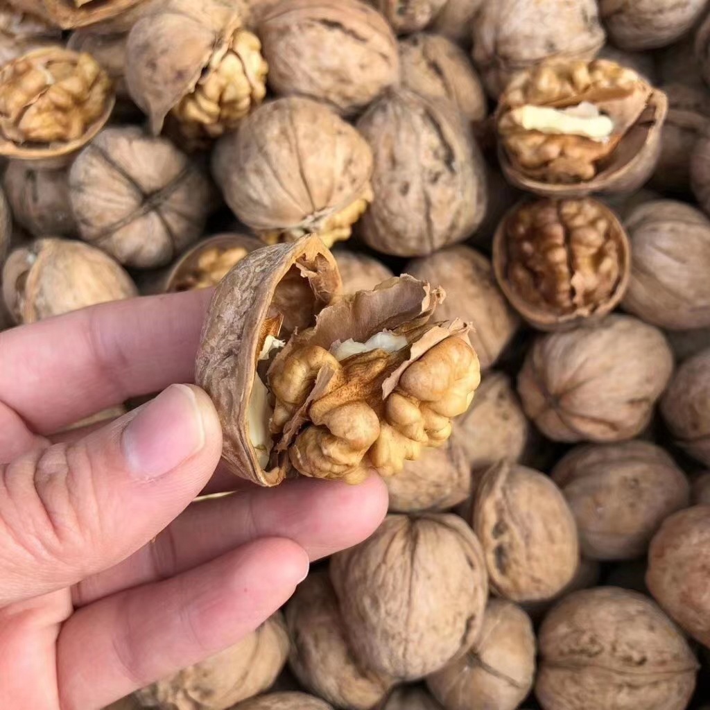 零食炒货核桃特产野生薄皮大核桃新疆纸皮核桃 5斤一箱熟包邮