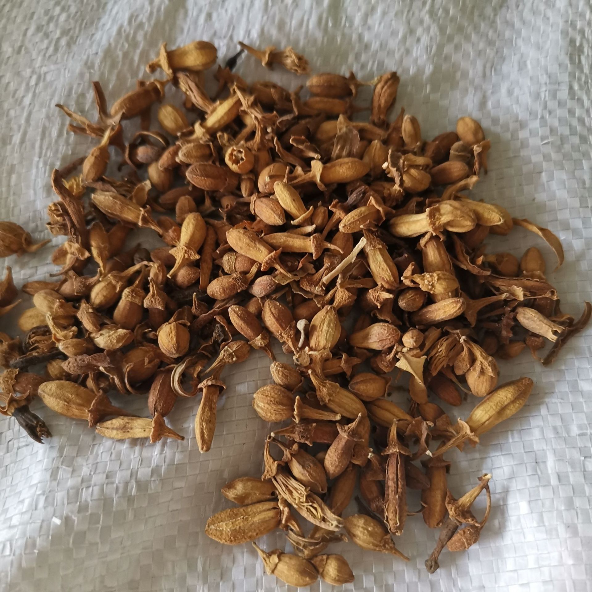 中药材 佛手花 川佛手花 低温烘焙 量大从优 新货 可打粉