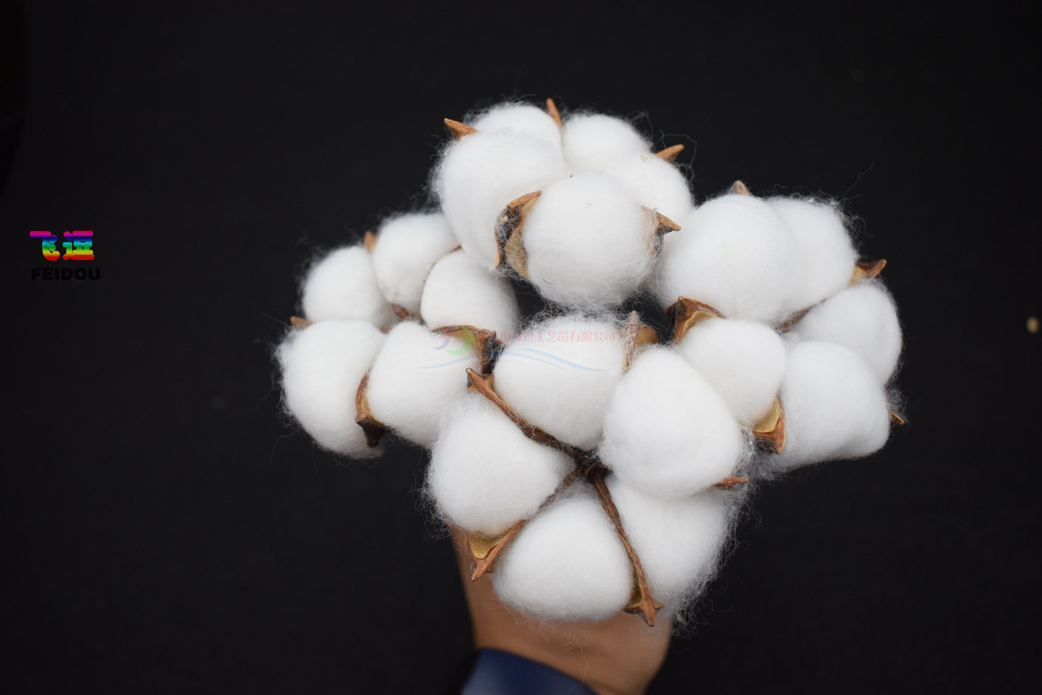 仿真干花五瓣铁杆棉花头 棉花头批发 拍摄道具 天然干花装饰花