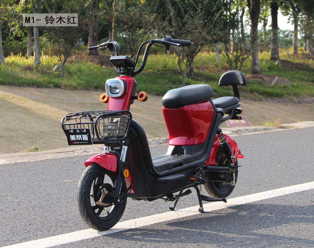 48v新国标电动车男女时尚电瓶车厂家直销