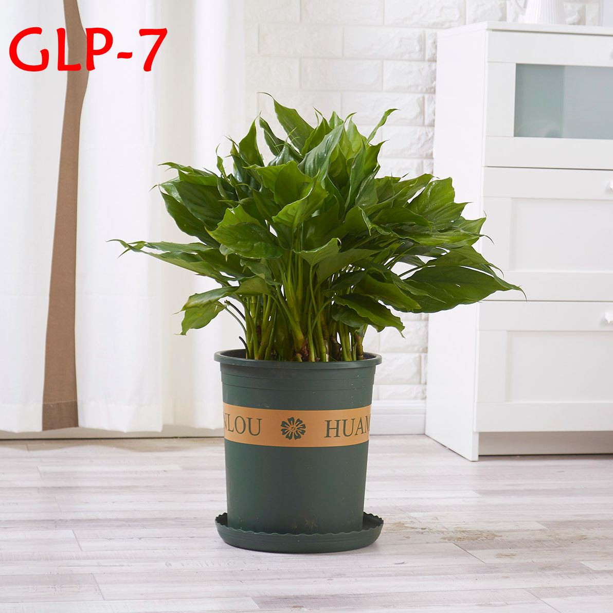 7加仑盆圆形军绿印花盆月季铁线莲创意深型塑料盆栽花盆种植盆