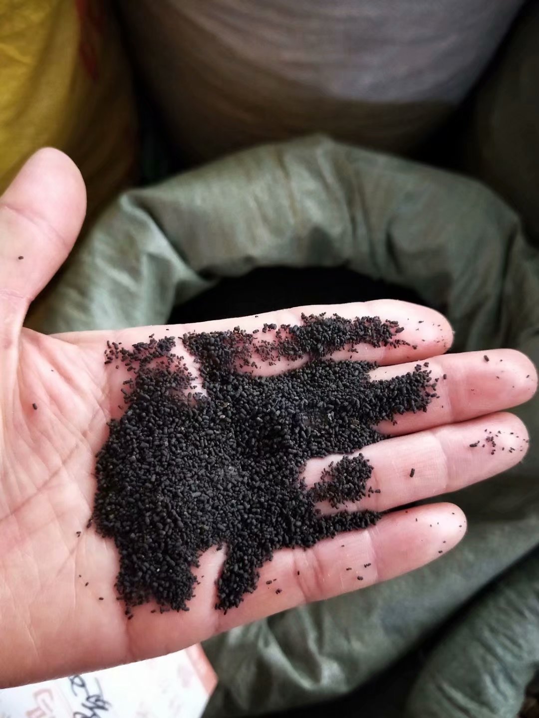 虫茶 虫屎茶 陈年虫屎茶