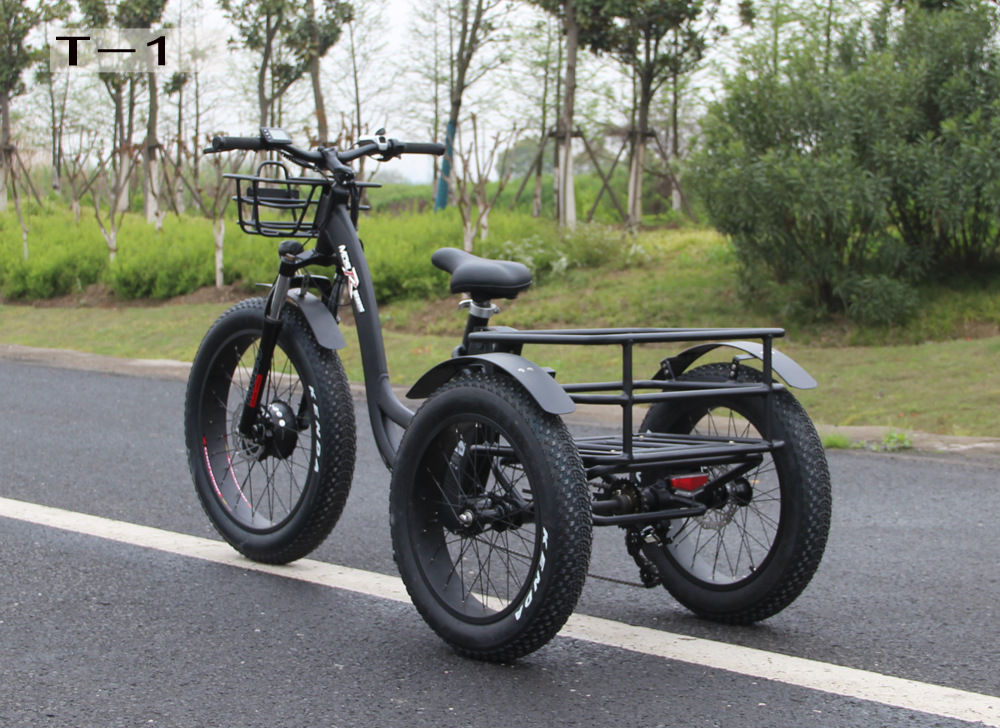 出口三轮电动车成人 脚踏变速三轮电瓶车厂家批发