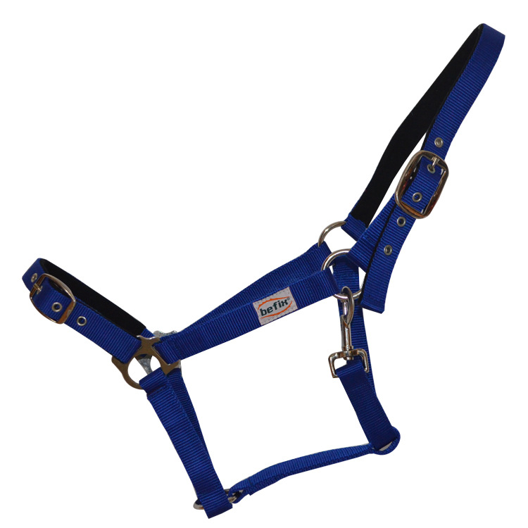 牵马龙头 人马合一马具牵马笼头 马笼头 笼头-阿里巴巴