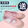 children Dancing shoes soft sole Practice shoes adult Body Catlike Dancing shoes girl China Ballet shoes