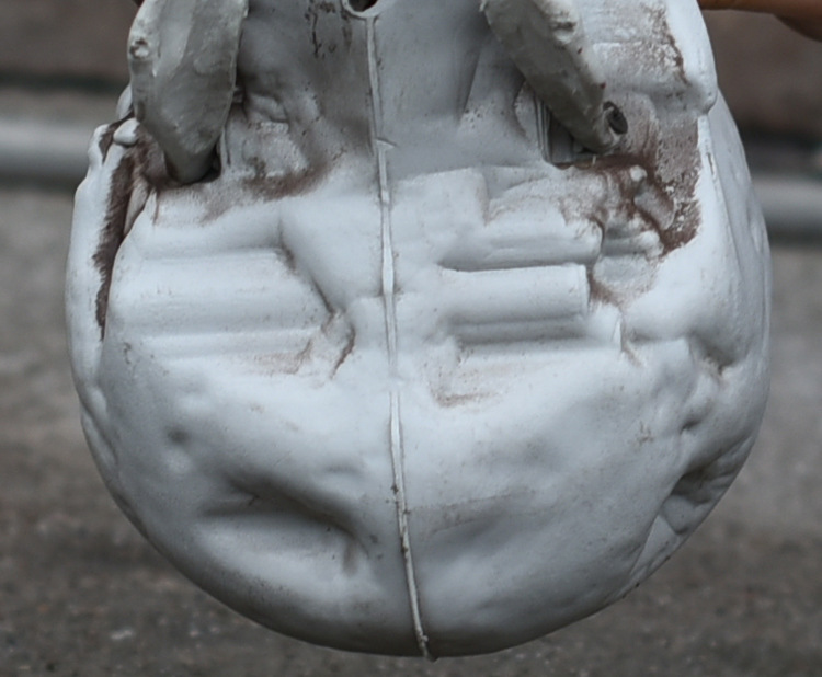 现货万圣节道具 酒吧鬼屋密室恐怖烂头鬼摆件骷髅头装饰 人骨模型