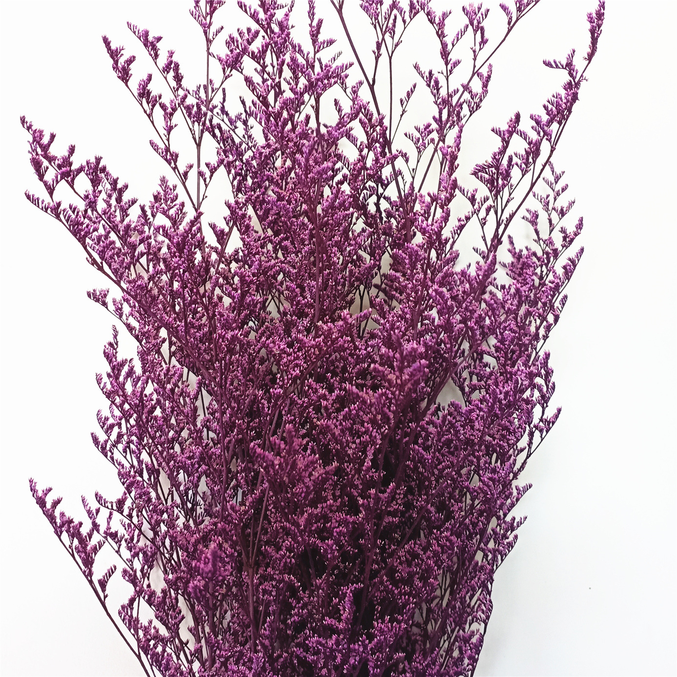 永生情人草永生花吸色情人草多色可选软装装饰120克一束厂家批发