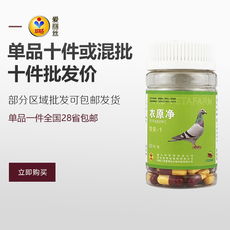 爱丽丝鸽药鸽子药呼吸道衣原净腺立净鸽痘消口黄二合一三合一球虫