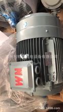 代理供应WNM皖南电机现货YE3-180L-4 22KW B3卧式右出线