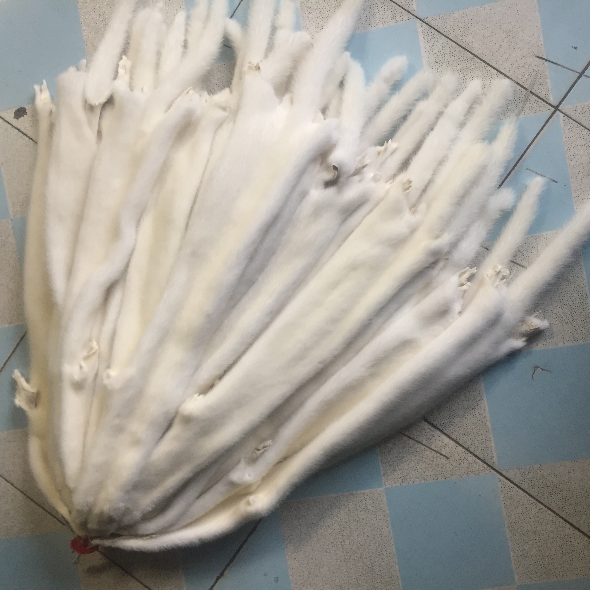 品名 水貂皮 产地/厂家 大营镇 毛皮形态 小毛细