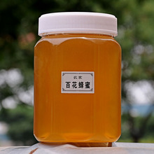 2斤装多花蜜一件代发新荆条洋槐百花枣花荔枝蜂蜜1000g蜂场直发货