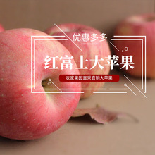 自家种植冰糖心苹果 陕西红富士10斤脆甜苹果新鲜水果批发