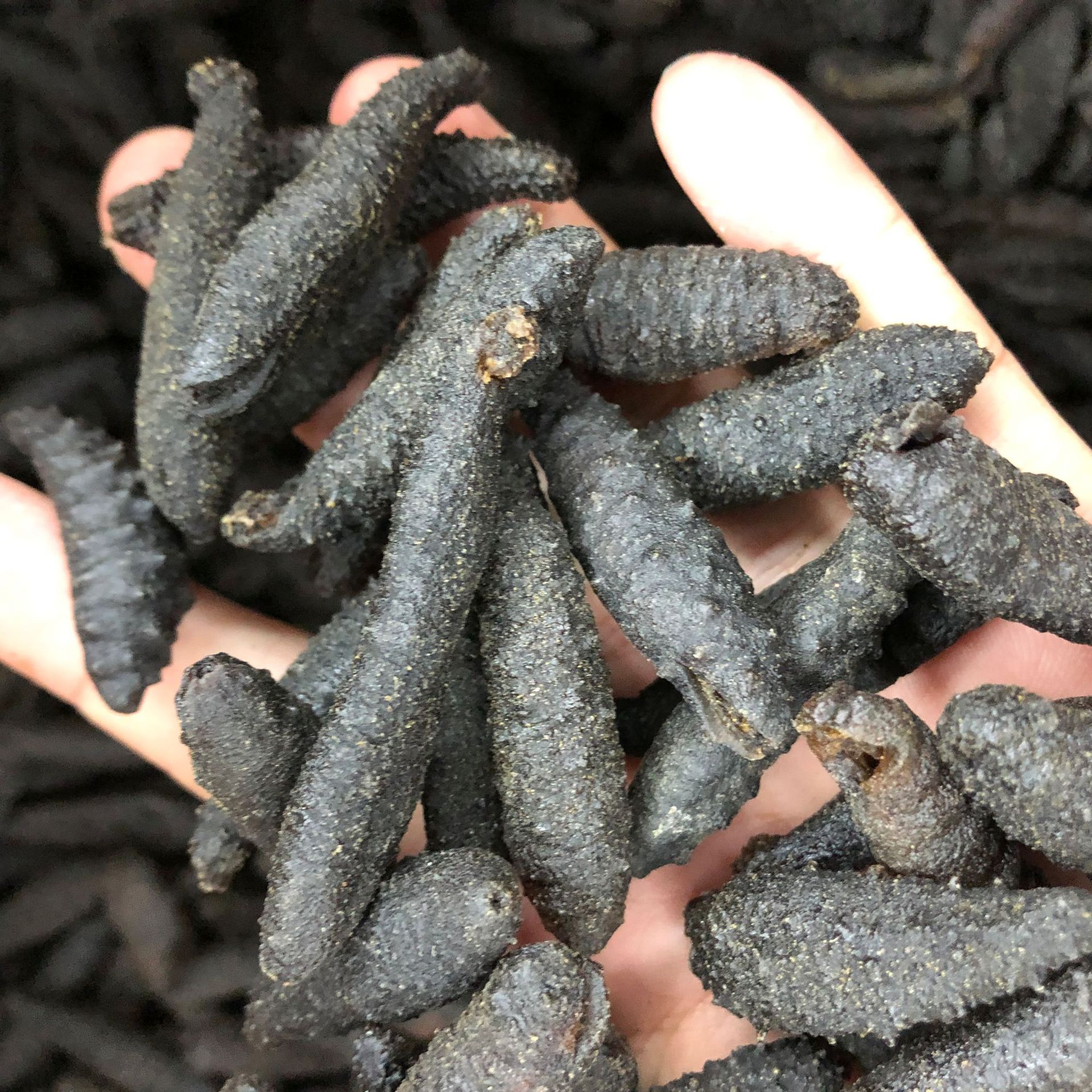 海参种类淡干海参年份6-7年食品工艺水产干货净重(规格)500(g)生产