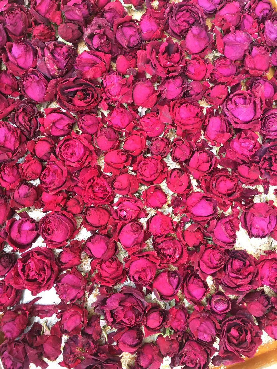 古初堂花茶批发 法国墨红玫瑰花冠 冻干玫瑰干花 墨红玫瑰花茶