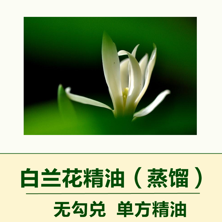 无勾兑白兰花精油单方精油10ml调香植物香薰精油原料白兰花精油