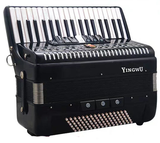 鹦鹉手风琴考级演奏初学手风琴60/96/120/8/贝斯三四排簧