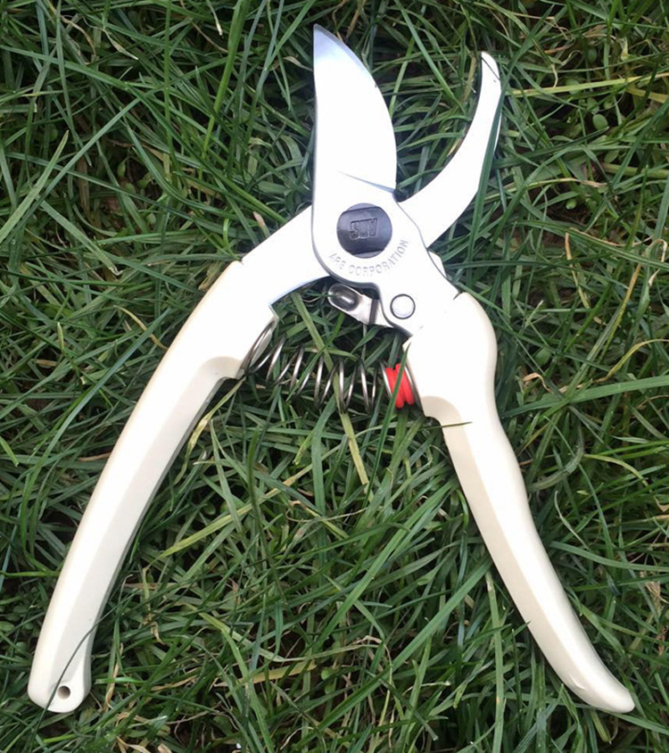 爱丽斯ars130修枝剪 sk5高碳钢 园艺工具 锋利 盆景修剪 手剪