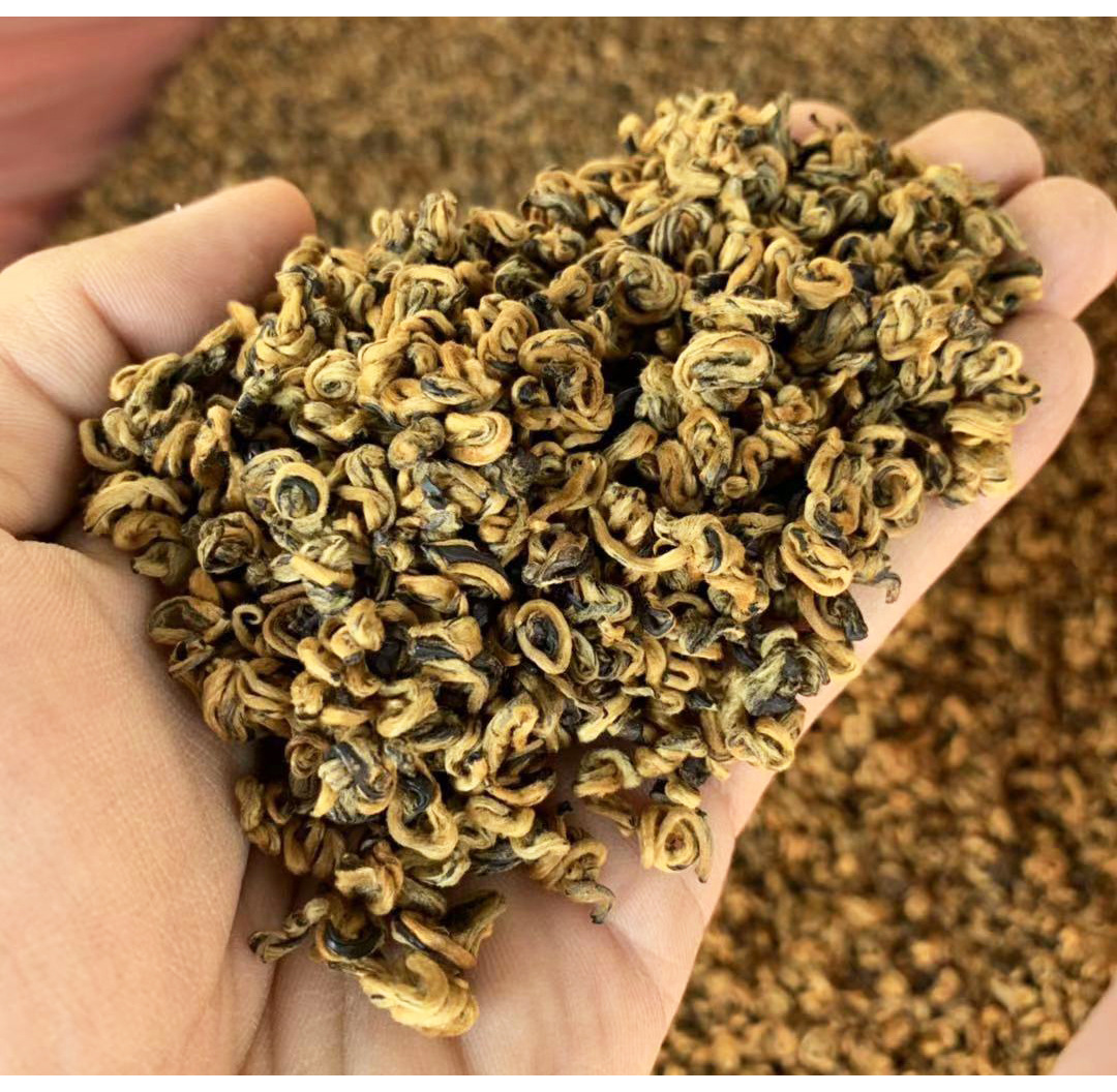 2020年新茶云南滇红茶蜜香金螺 金芽红茶 单芽红碧螺250g