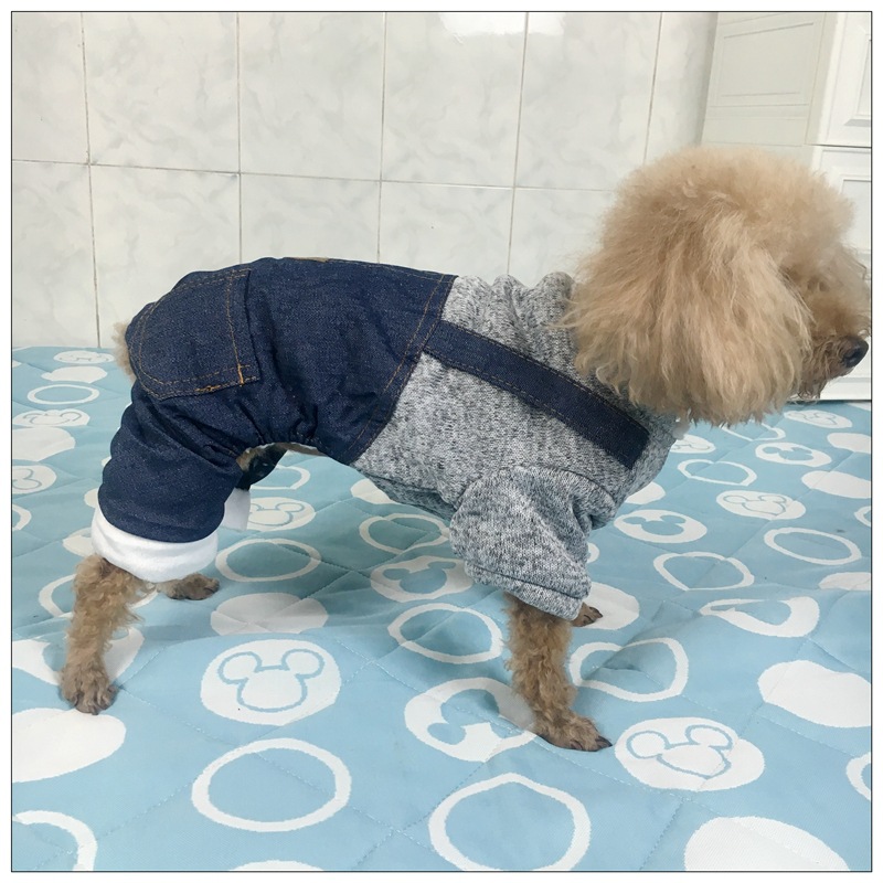 宠物四脚衣无帽灰色宠物冬装小型犬狗狗加厚棉衣秋冬新款宠物用品