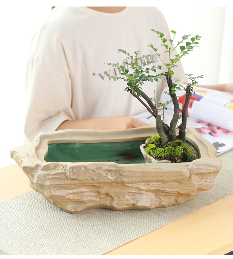 陶瓷乌龟鱼缸多功能茶洗花盆摆件水培无孔容器粗陶仿石头盆栽器皿