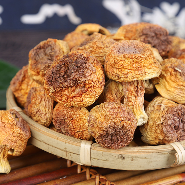 美味干姬松茸 口感鲜嫩 形状完整 自然晾晒 九寨沟产地直供