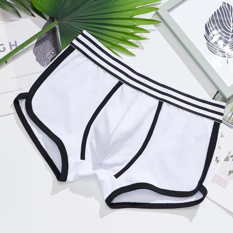 Men's Underwear Cotton Wholesale plus Size Arro Loose Boxer Men's Cotton Fashion Brand Sexy Pants Winter