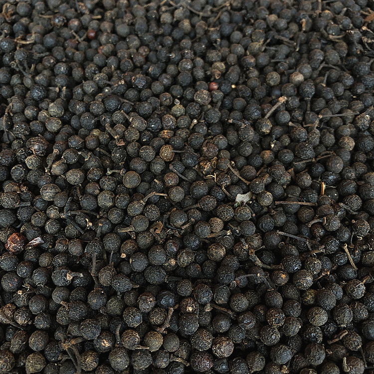 山苍子/香/木姜子/代发货 椒 批发采购招商山鸡 量大从优