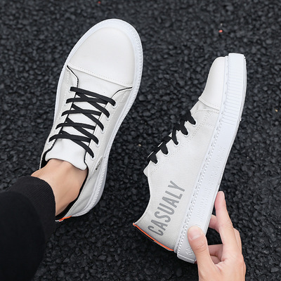 帆布板鞋男2019新款男鞋经典学院风小白鞋纯色运动风休闲鞋