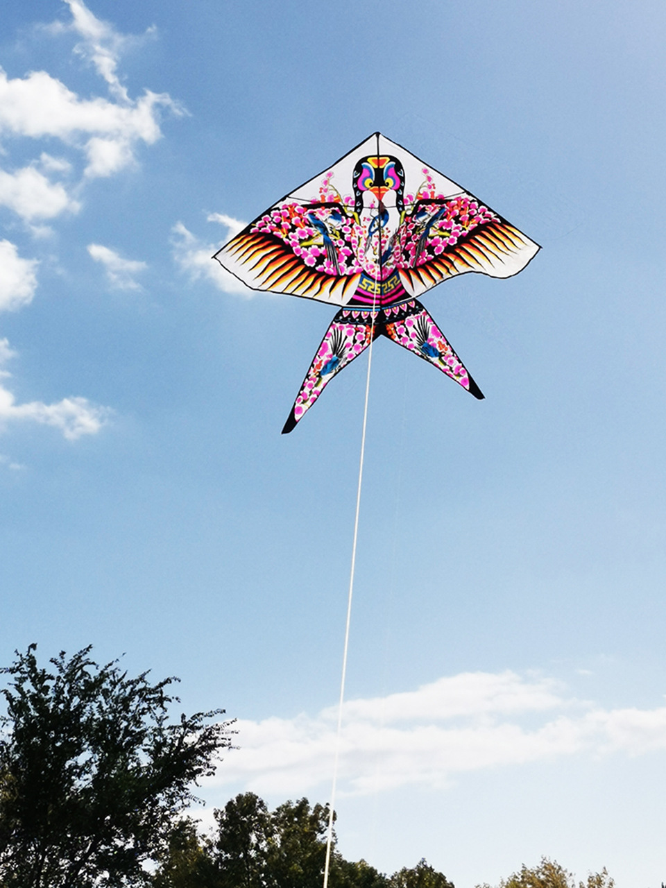 厂家批发小燕子沙燕风筝新款潍坊儿童成人大中小型三角长尾易飞