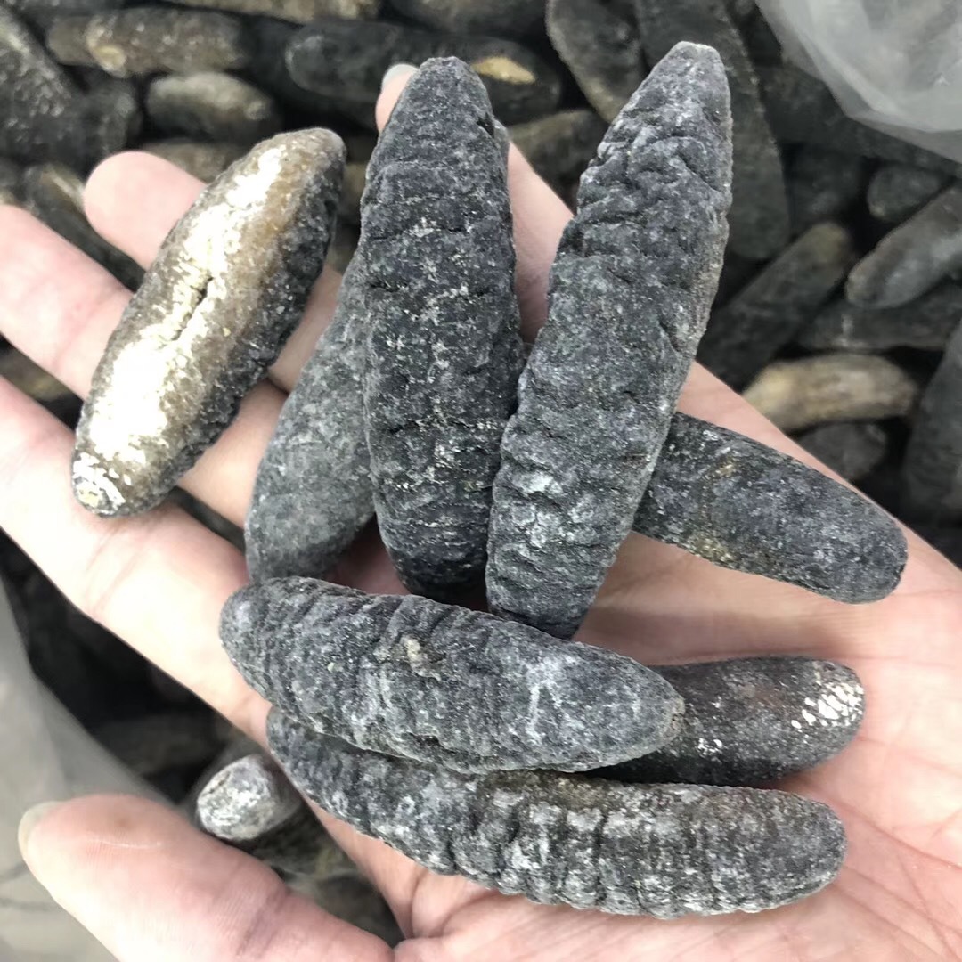 批发渠道深海天然野生海参 非洲明秃参 秃参 纯淡干海参干贷