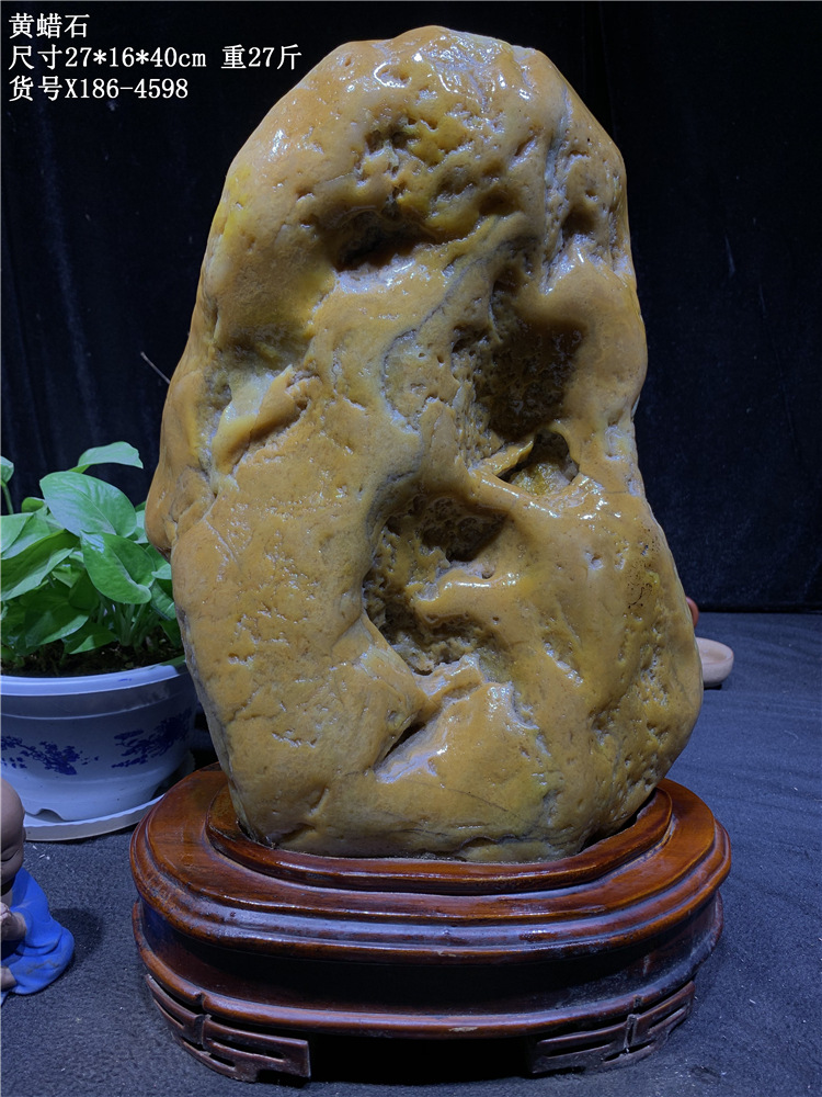 黄蜡石天然大型石摆件黄龙玉籽料观赏石玄关书房装饰黄色石头186