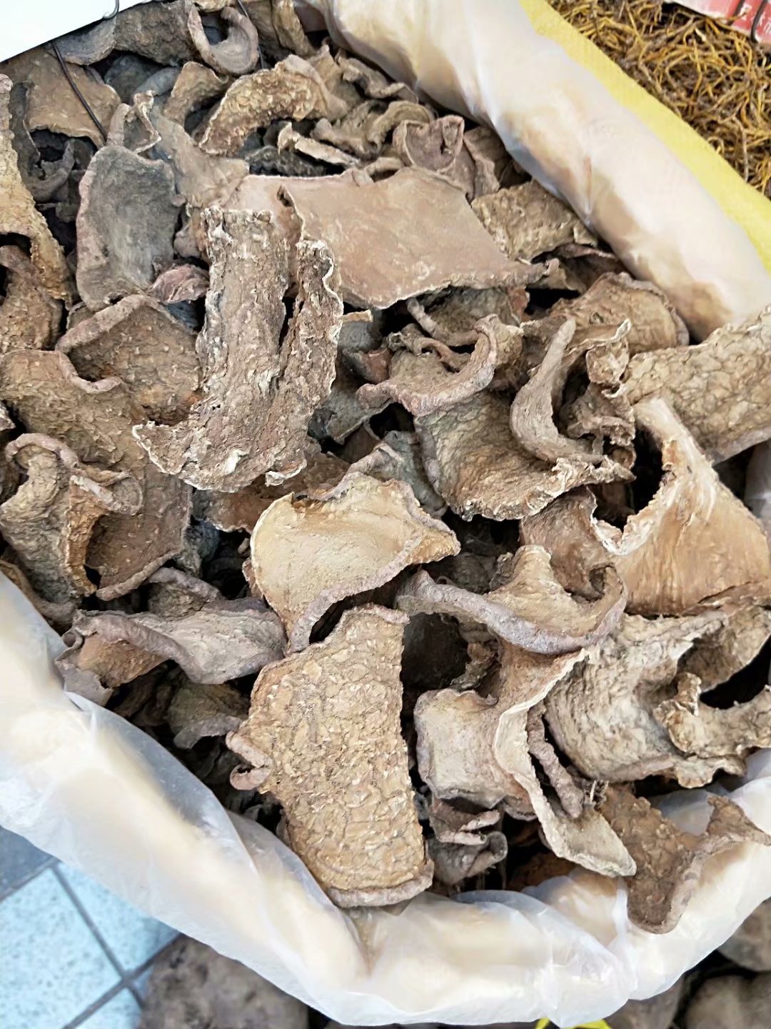 中药材金不换 山乌龟 每件500克