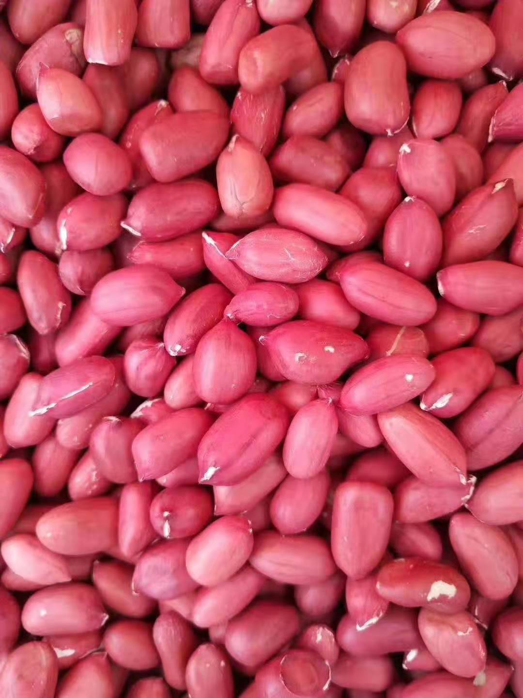 四粒红 花生米 50斤 一件代发