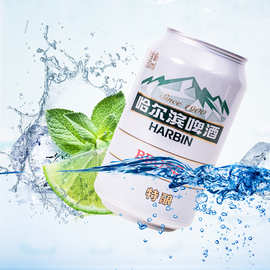 现货批发哈尔滨特酿听装易拉罐餐饮夜市地摊酒吧夜场啤酒