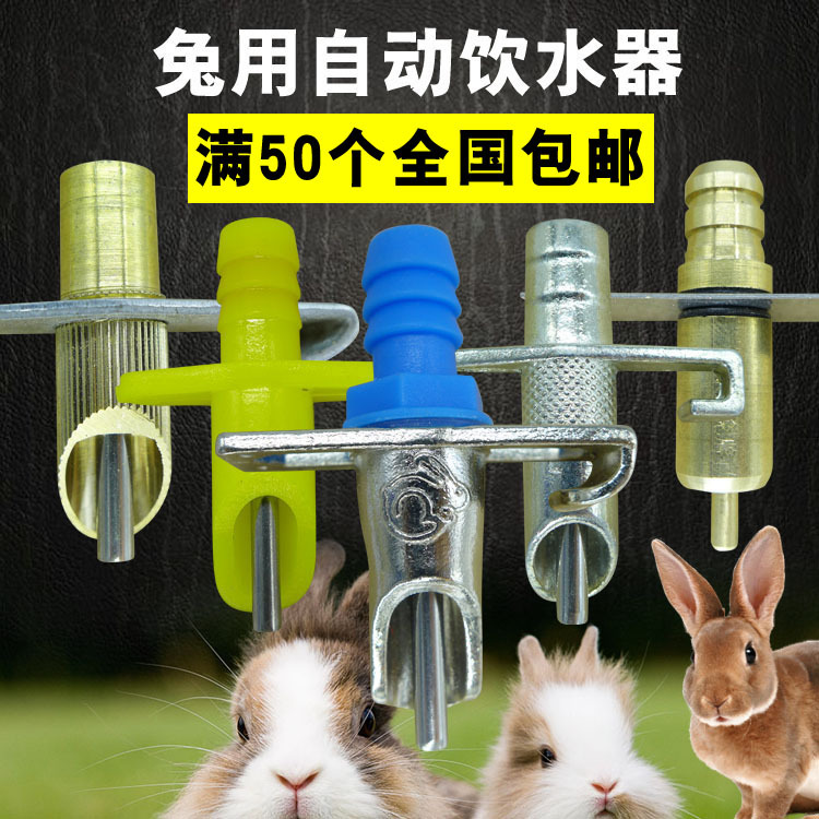 自制简易兔子饮水器图片