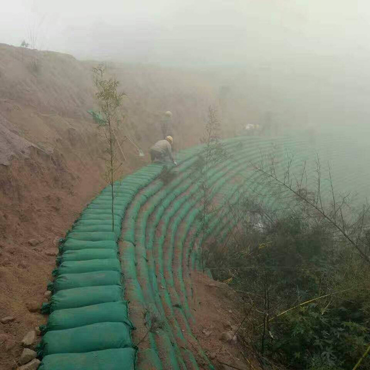 编制土工模袋 优质绿化护坡生态袋 河道护坡植生袋 草籽生态袋