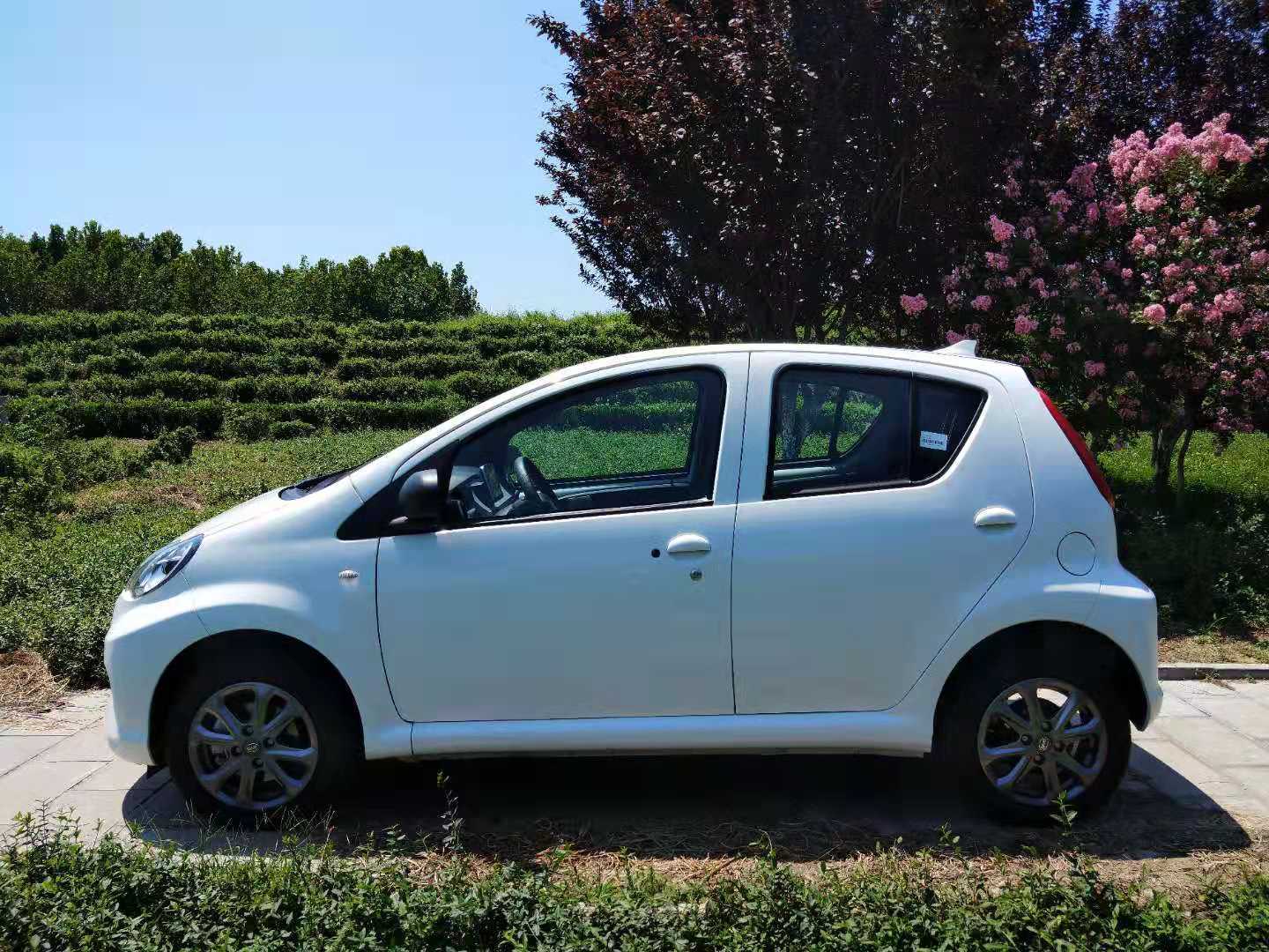 新能源小王子媳妇儿的比亚迪e1