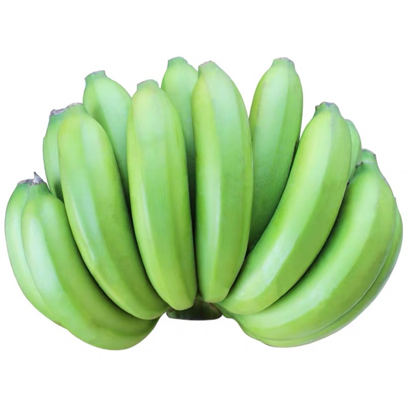 福建漳州天宝蕉黄皮香蕉现摘现发5斤新鲜水果一件代发