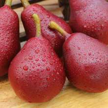 红啤梨五斤装新鲜大果 时令新鲜孕妇水果吸着吃的梨包邮彩啤梨