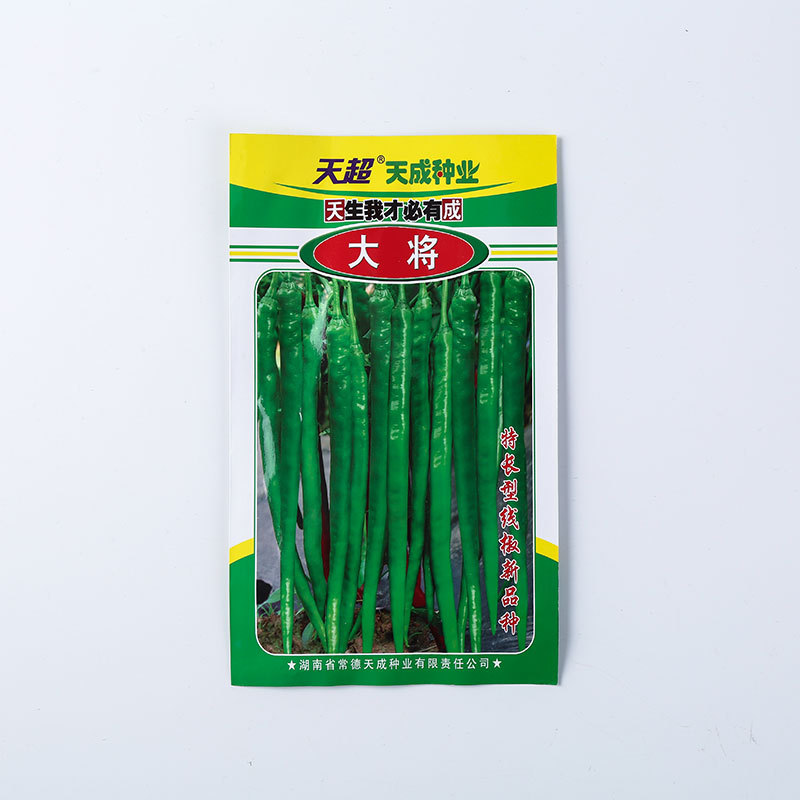 福州闽蔬星苗 天成大将辣椒种子1000粒包装种植园蔬菜种子 批发