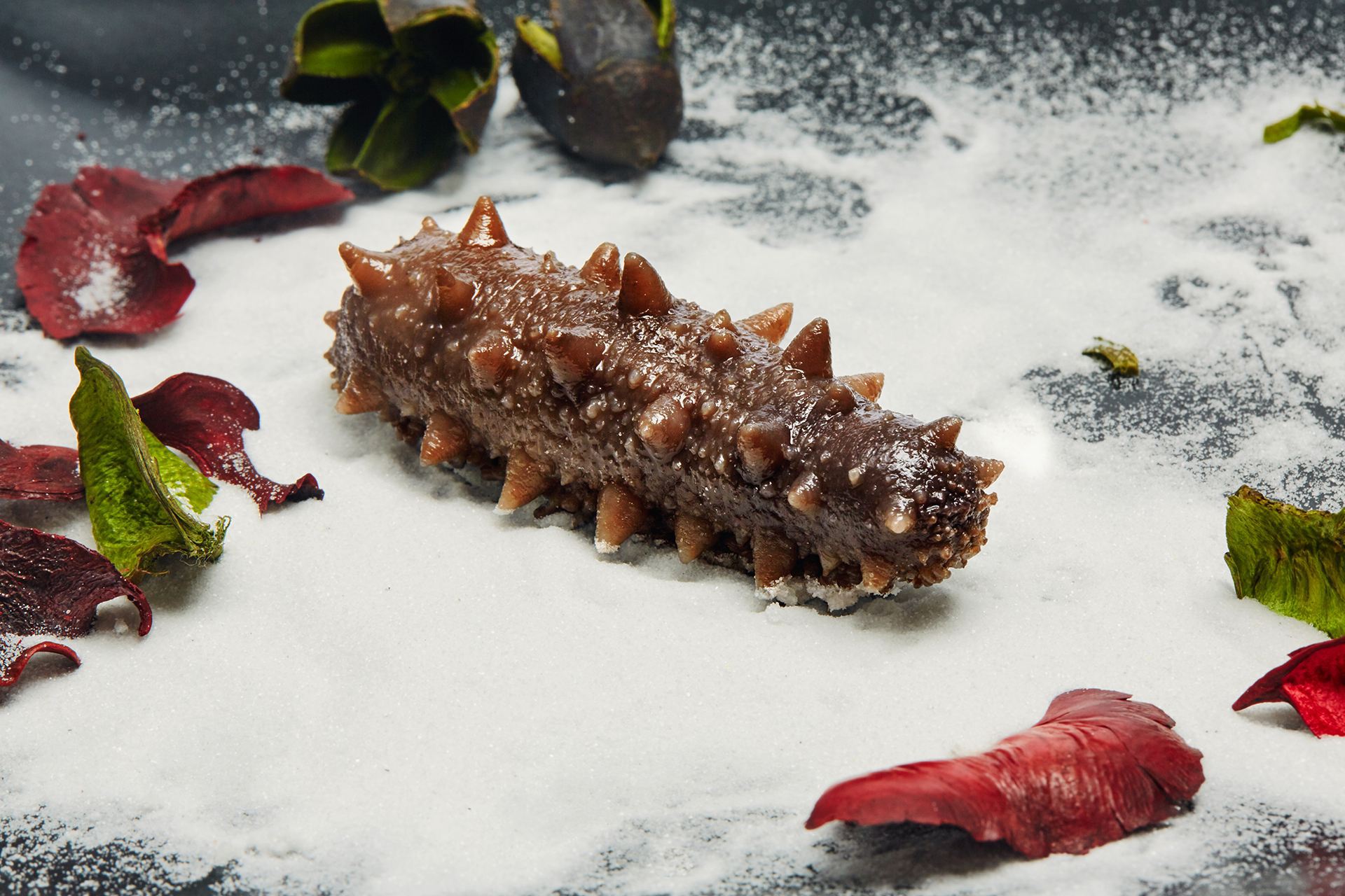 大连海参品牌,干海参报价