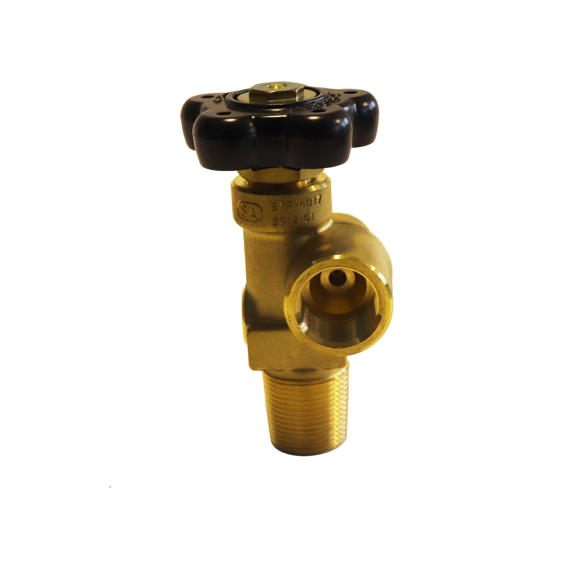 供应sa厂家保压阀 剩余压力阀 byf-4 系列 适用工业气体 bs 341 3