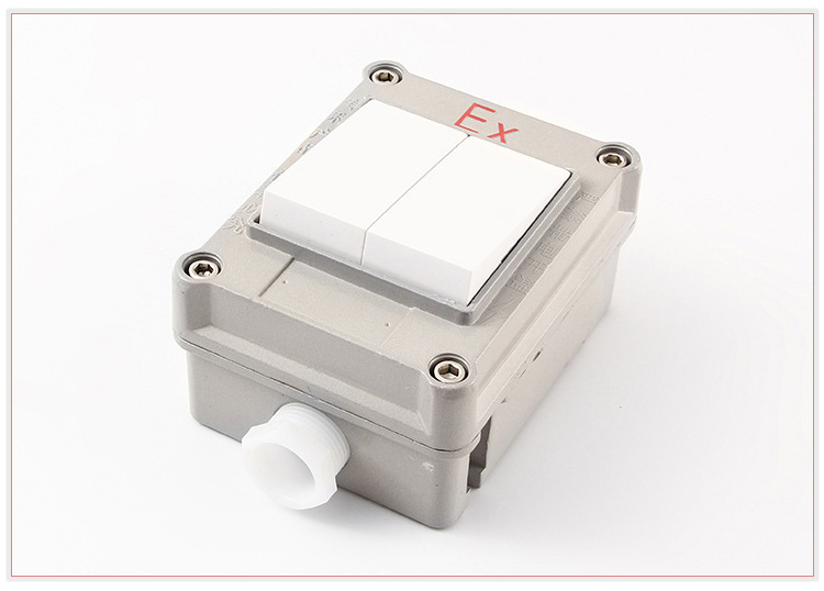 厂家直销防爆墙壁照明开关明装暗装一开二开三开四开220v10a