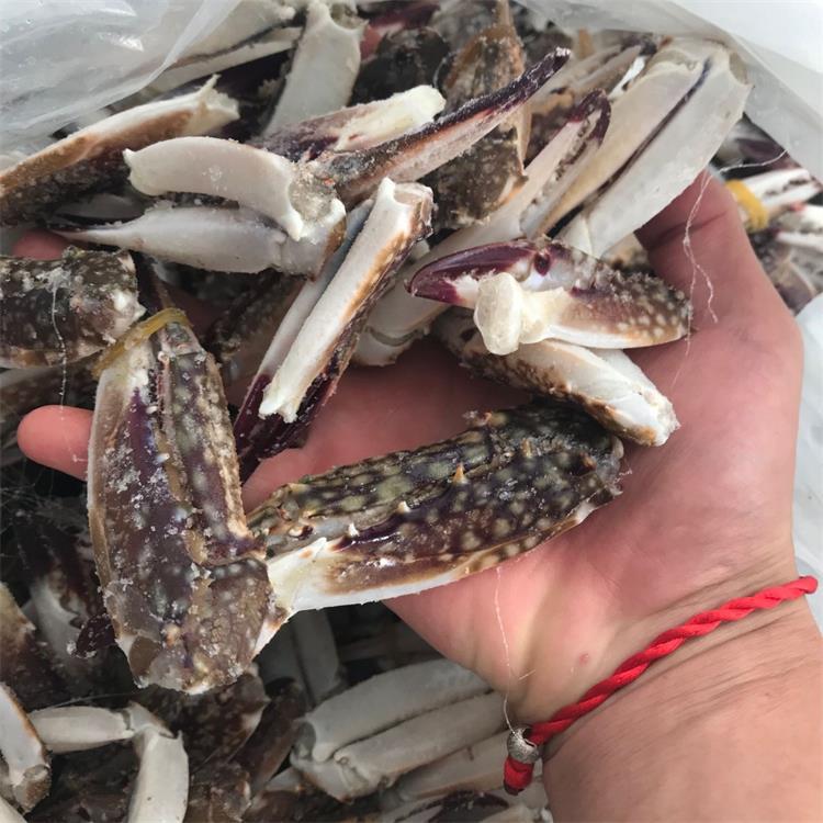 肥度高 新鲜活梭子蟹蟹钳批发 蟹腿蟹钳 新鲜梭子蟹钳 厂家直